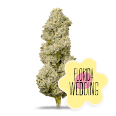 Florida Wedding 3.5g