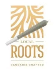 Infused Pre-roll w/ Brick Hash- Jack Skunk x Pura Vida - 1g