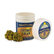 Nanticoke - Coconut Cream - Flower