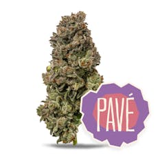 Pave | 3.5G | THC 26.97%