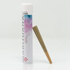 Guava Tart | Single Pre-roll 1g