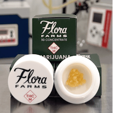 1g Live Sugar | Rainbow Zebra