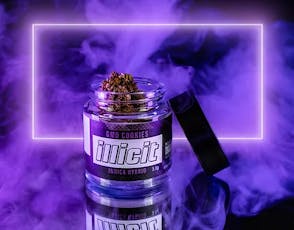 Illicit: Flower | Kingdom Kush | 3.5g