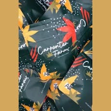 Carpenter Farms: Flower | Penthouse Kush | 3.5g