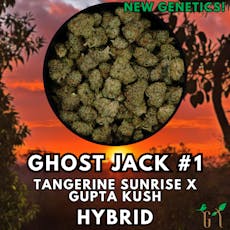 Flower - Ghost Jack - Shake