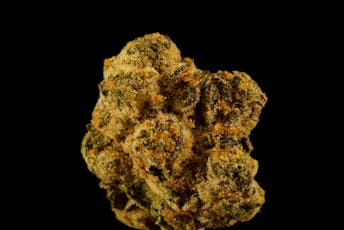 Jet Fuel