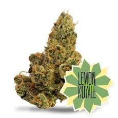 Lemon Royale - 3.5g - District Cannabis
