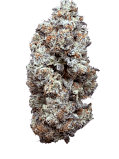 GhostBudsters Mac 1 Buds