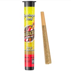 Infused Pre-Roll - Watermelon Splash - 1g - PVX/ Firecracker