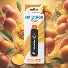 Mango Lychee Disposable