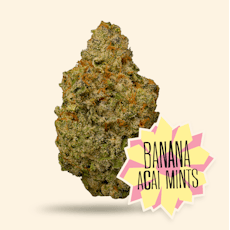 District Cannabis | Banana Acai Mints | Pre-Packaged 3.5g
