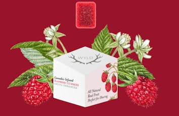 Gummies - Raspberry Sativa - 20 Pcs - 100mg