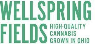 WellSpring Fields | Hard Candy Peppermint | 110mg