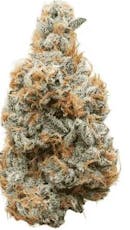 Silver Shelf - Meat Breath (I)