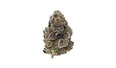 Rainbow OG Flower by Glorious Cannabis Co.