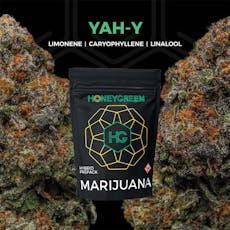 HONEY GREEN - PREPACK - 3.5G - YAH-Y - HYBRID