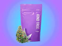 Kind Tree - Loud Cake - 8th