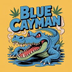DELI - Mitten Canna - Blue Cayman