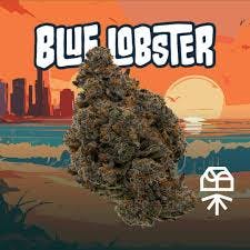 Blue Lobster | Flower (3.5g)