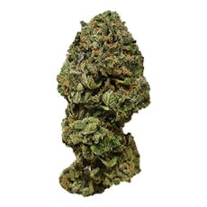 Ginger Tea - Lionheart Cannabis
