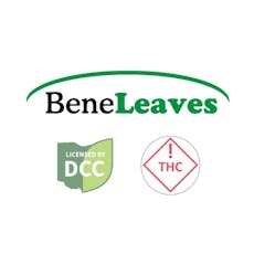 Transdermal Patch + CBG - 10Pk - 11mg - Mary's Medicinals