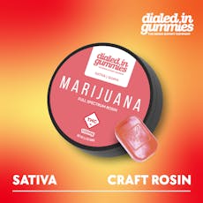 Guava | Rosin Gummies | 100mg (10pcs)