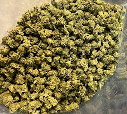 Jackie Chan B buds-Juicy farms