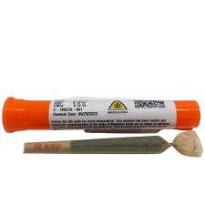 Frosted Kush - Pre-Roll(1g) - Papaya