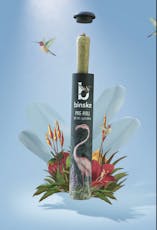 Binske | 1g Infused Preroll | Vista Kush | H