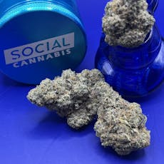 Platinum Shelf - Gary Payton (I)