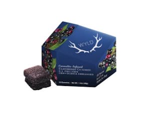 Wyld | Elderberry 2:1 THC:CBN 100mg