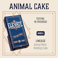 ELEVATE - PINS - PREROLL - 0.5G - 10PK - ANIMAL CAKE - INDICA