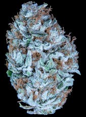 Falcanna FL Pacific Sunshine 3.5g