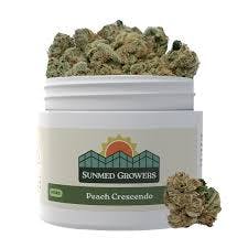 SunMed - Peach Crescendo - Flower - 3.5g (Jar)