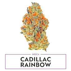 Amaze: Flower | Cadillac Rainbow | 3.5g