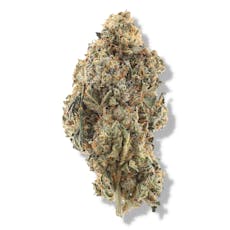 The Deli - Jack Herer