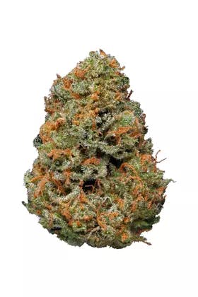 Papaya Bulk