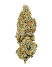 Grow West Gold - Black Maple - 3.5g