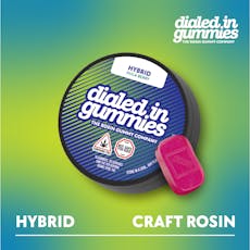Dialed In Hula Berry Hybrid Rosin Gummies 100mg 20pk