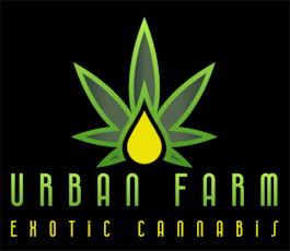 Urban Farm | Nuclear Slurpee | 2pk 0.5g Infused Pre-Roll