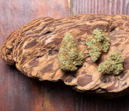 Deep Creek Rip City Durban