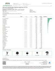 all:hours Hash Burger 2g Rosin big:timer 41770