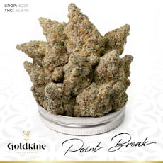 GOLDKINE | POINT BREAK | SATIVA | DELI-STYLE FLOWER | REC