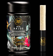 Maven Genetics - Paradiso Tropical (Sativa) Mini Halo's Hash Hole 5pk 3g