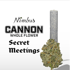 Single Pre-Roll | Secret Meetings