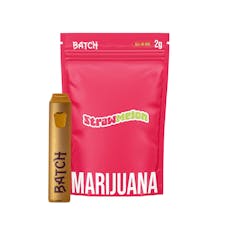 Batch | All-In-One Vape | Strawmelon 2g