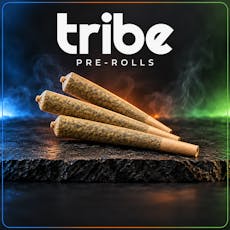 Tribe-1g Pre-Roll-Papaya Mints