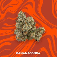 VIVID - PREPACK - 3.5G - BANANACONDA - HYBRID