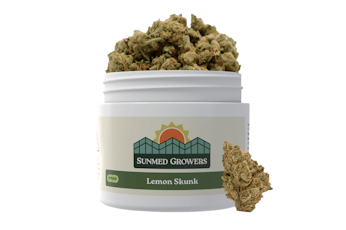 Banana Puddintain | 3.5g
