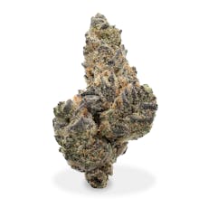 Pacific Grove - Chili G